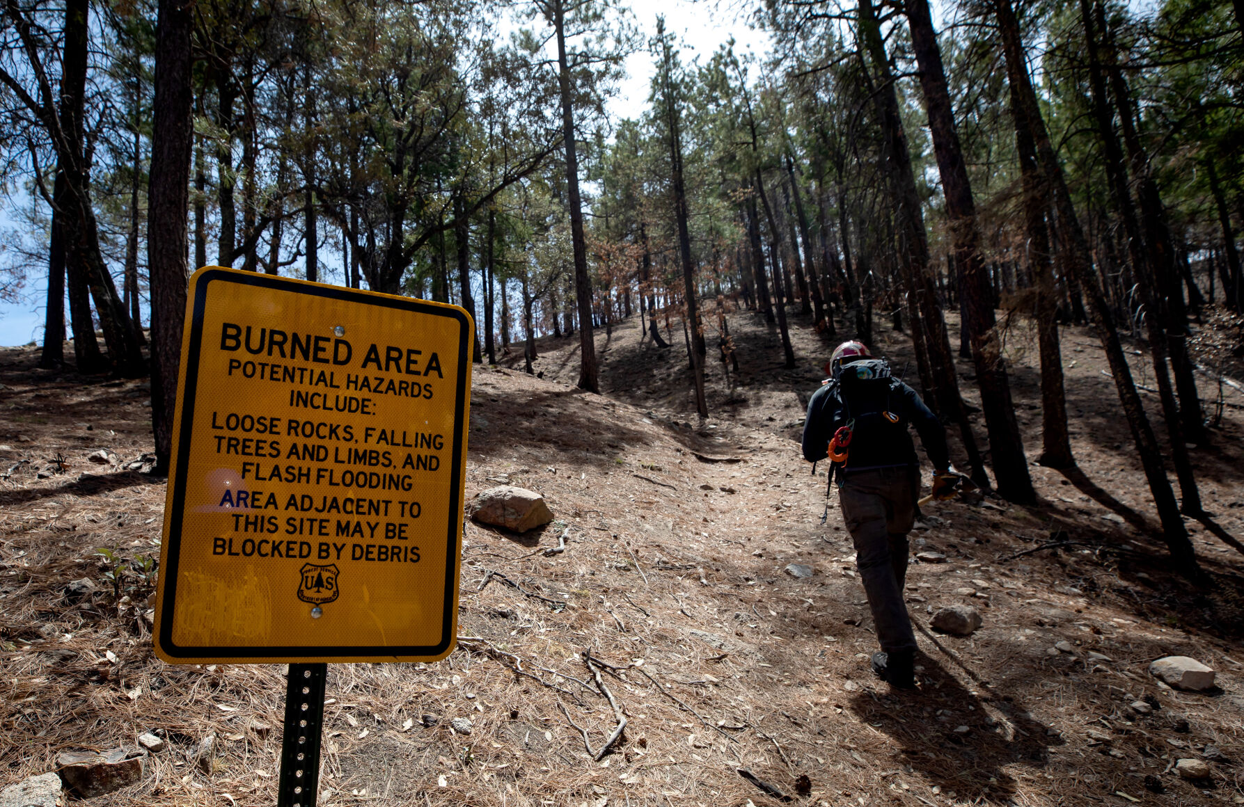 Green Mountain Trail, Bighorn Fire